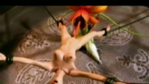 Final Fantasy XXX Sexy body of a nymph fucks with a plant