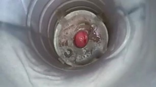 Sperm Inside FleshLight Ice Jack