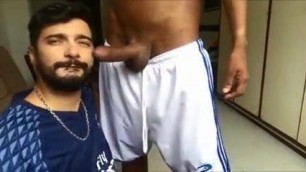 porn actor marcos goiano eating a big black cock