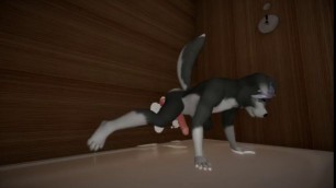 CUTE WOLFY HAVING FUN WITH A GLORY HOLE. ANIMATED BY LUCKYD Furry Fetish