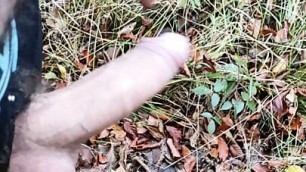cumming outdoor in forest